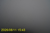 Img20260811_154332.jpg