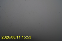 Img20260811_155332.jpg