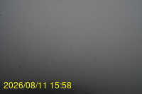 Img20260811_155832.jpg
