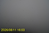 Img20260811_160332.jpg