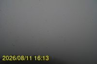 Img20260811_161332.jpg