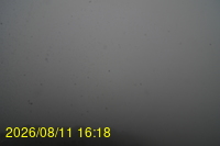 Img20260811_161833.jpg