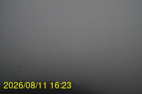 Img20260811_162332.jpg