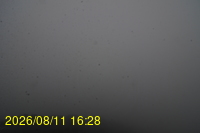 Img20260811_162833.jpg
