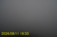 Img20260811_163333.jpg