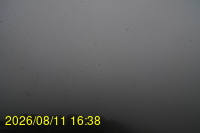 Img20260811_163832.jpg