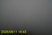 Img20260811_164333.jpg