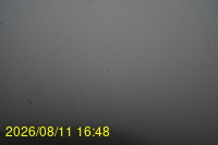 Img20260811_164833.jpg