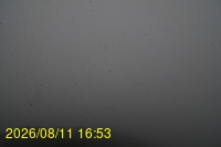 Img20260811_165333.jpg