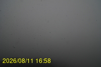 Img20260811_165833.jpg