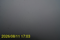 Img20260811_170333.jpg