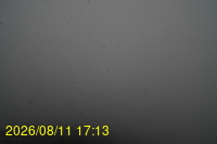 Img20260811_171333.jpg