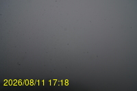 Img20260811_171833.jpg