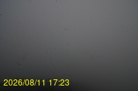 Img20260811_172333.jpg