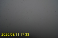 Img20260811_173333.jpg