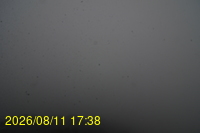 Img20260811_173833.jpg