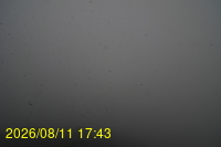 Img20260811_174333.jpg
