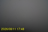 Img20260811_174833.jpg