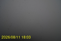 Img20260811_180333.jpg