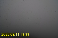 Img20260811_183333.jpg