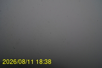 Img20260811_183833.jpg