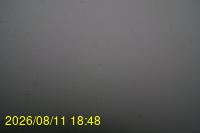 Img20260811_184833.jpg