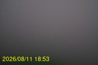Img20260811_185333.jpg