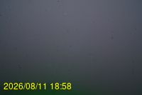 Img20260811_185833.jpg