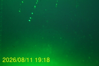 Img20260811_191833.jpg