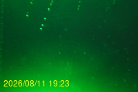 Img20260811_192333.jpg