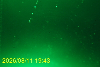 Img20260811_194333.jpg