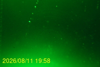 Img20260811_195833.jpg