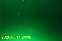 Img20260811_200833.jpg