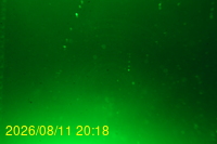 Img20260811_201833.jpg