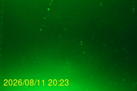 Img20260811_202333.jpg