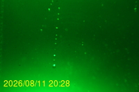 Img20260811_202833.jpg