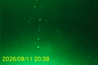 Img20260811_203833.jpg