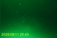 Img20260811_204333.jpg