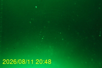 Img20260811_204833.jpg