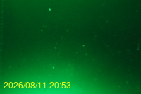 Img20260811_205333.jpg