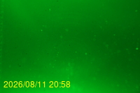 Img20260811_205833.jpg