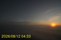 Img20260812_043335.jpg