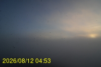 Img20260812_045335.jpg