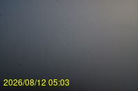 Img20260812_050335.jpg