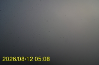 Img20260812_050835.jpg