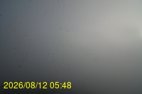 Img20260812_054835.jpg