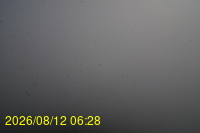 Img20260812_062835.jpg