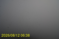 Img20260812_063835.jpg