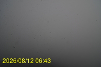 Img20260812_064335.jpg