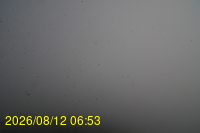 Img20260812_065335.jpg